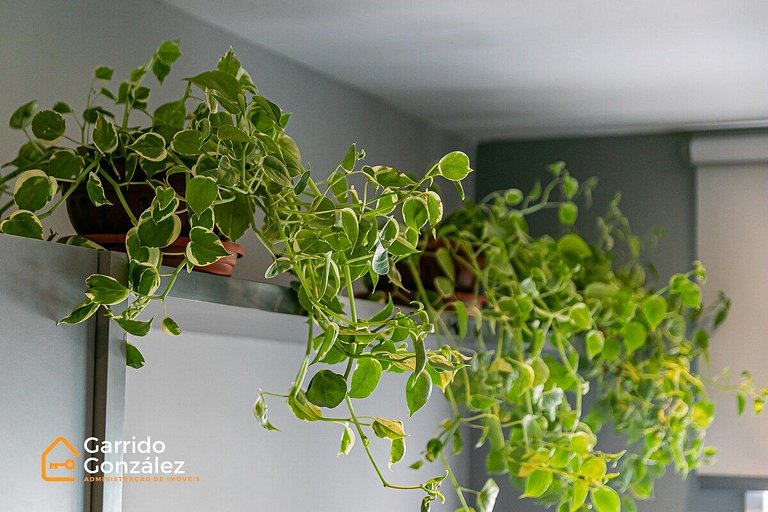 Espaçoso Apartamento C/Piscina - Metrô Brás