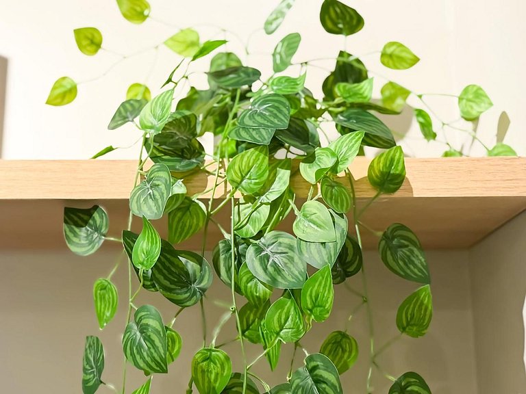 Apê Novo c/ Ar + Vista – Próx. Allianz Parque